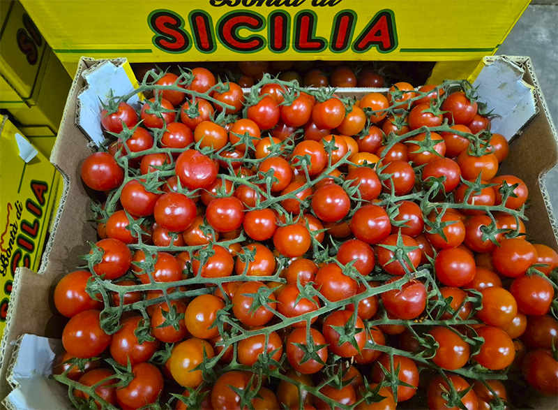Pomodoro Ciliegino - Sicilia - 4,00/4,50 euro al chilogrammo